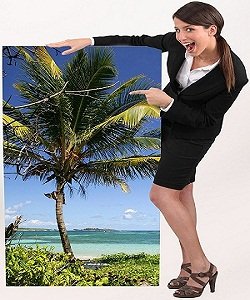 travel tourism degree programs careers
