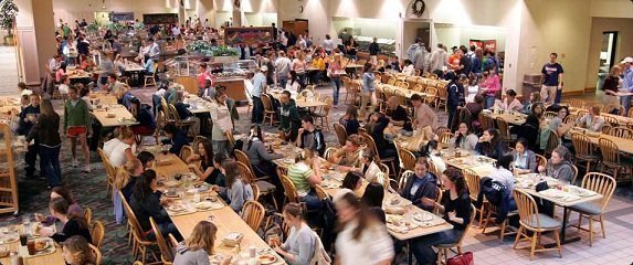 different food service positions