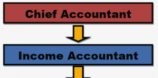 Organization Chart Night audit