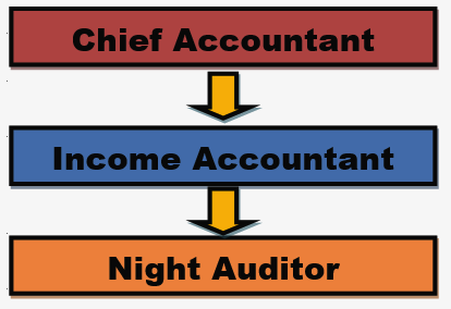 Organization Chart Night audit